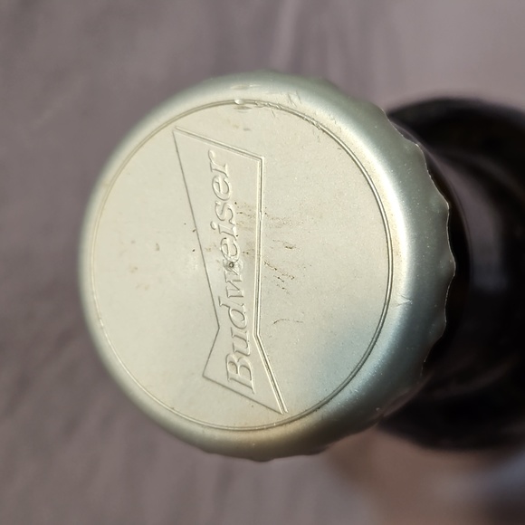 Large Giant Glass Budweiser Beer Bottle Bank-15" 64oz-Dale Earnhardt Jr #8-EC - Picture 6 of 10